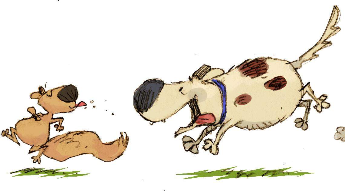 There should be only one Squirrel in the restaurant