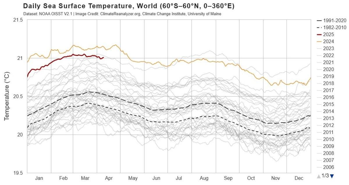 Daily sea surface temperature global averages. 2025 trails behind 2024 as the warmest year on record as of April 2025.