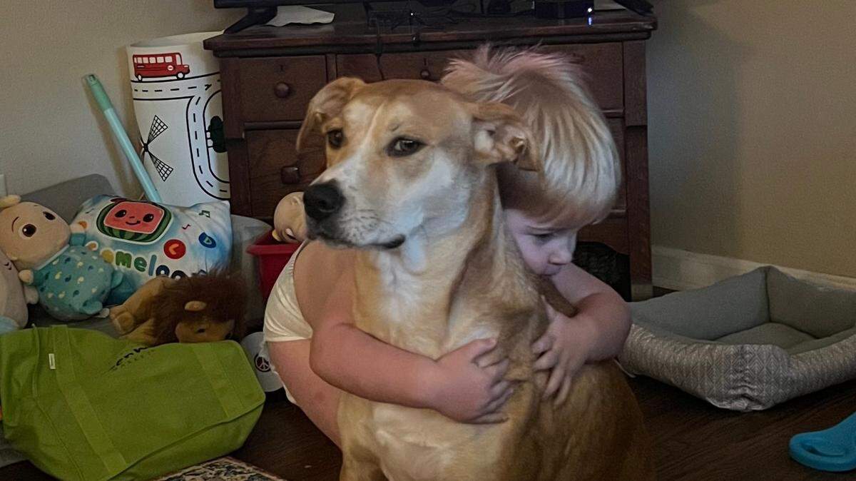 Goldie Hawn can’t run for Columbus’ cutest dog because she is disqualified as the very best girl of a Ledger-Enquirer reporter, but maybe your pooch will take the honors.