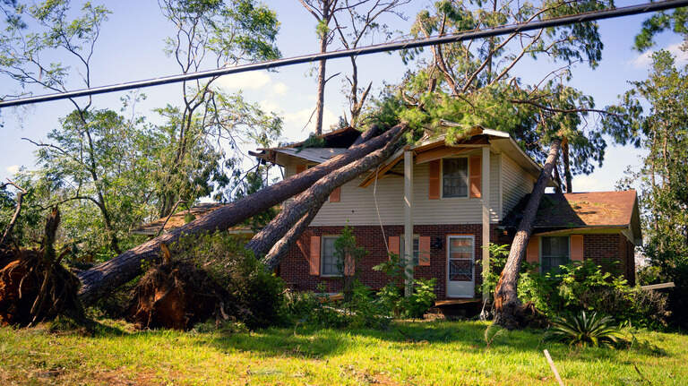 Death toll from Hurricane Helene rises to 25 in Georgia. Latest update from state officials