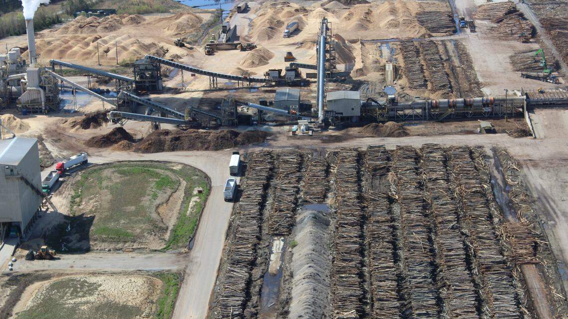Georgia regulators approve Georgia Power’s request to burn wood for fuel. At what cost?