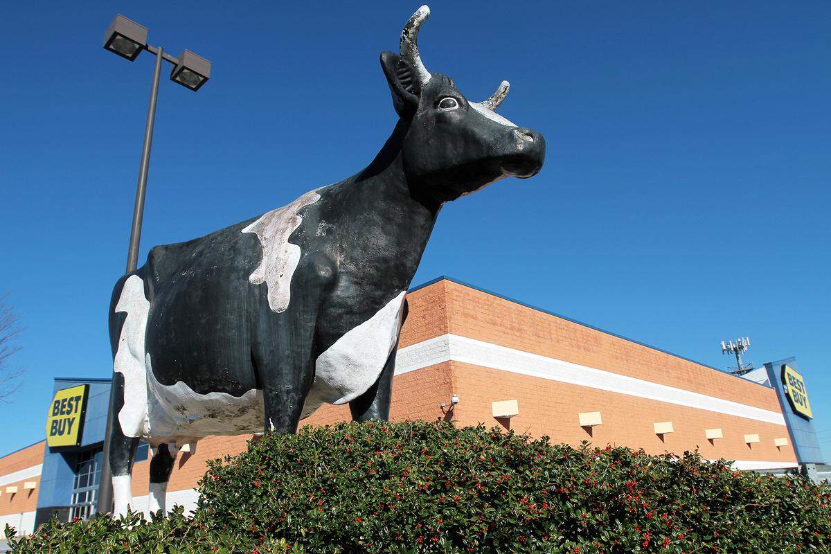 Kadie the Cow has been the icon of Manchester Expressway since becoming part of Kinnett Dairies, Inc. in the late 1960s. When Best Buy opened its store in September 2003, Kadie stayed.