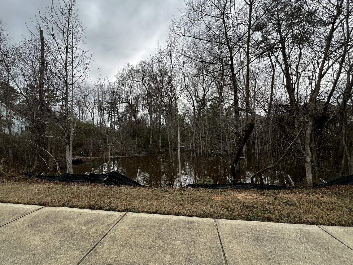 While speaking Jan. 7, 2026, in opposition of a rezoning request for 4937 Macon Road, residents of Pond View Drive complained to the Columbus Planning Advisory Commission about the stagnant water on their street caused by poor maintenance of a nearby retention pond.