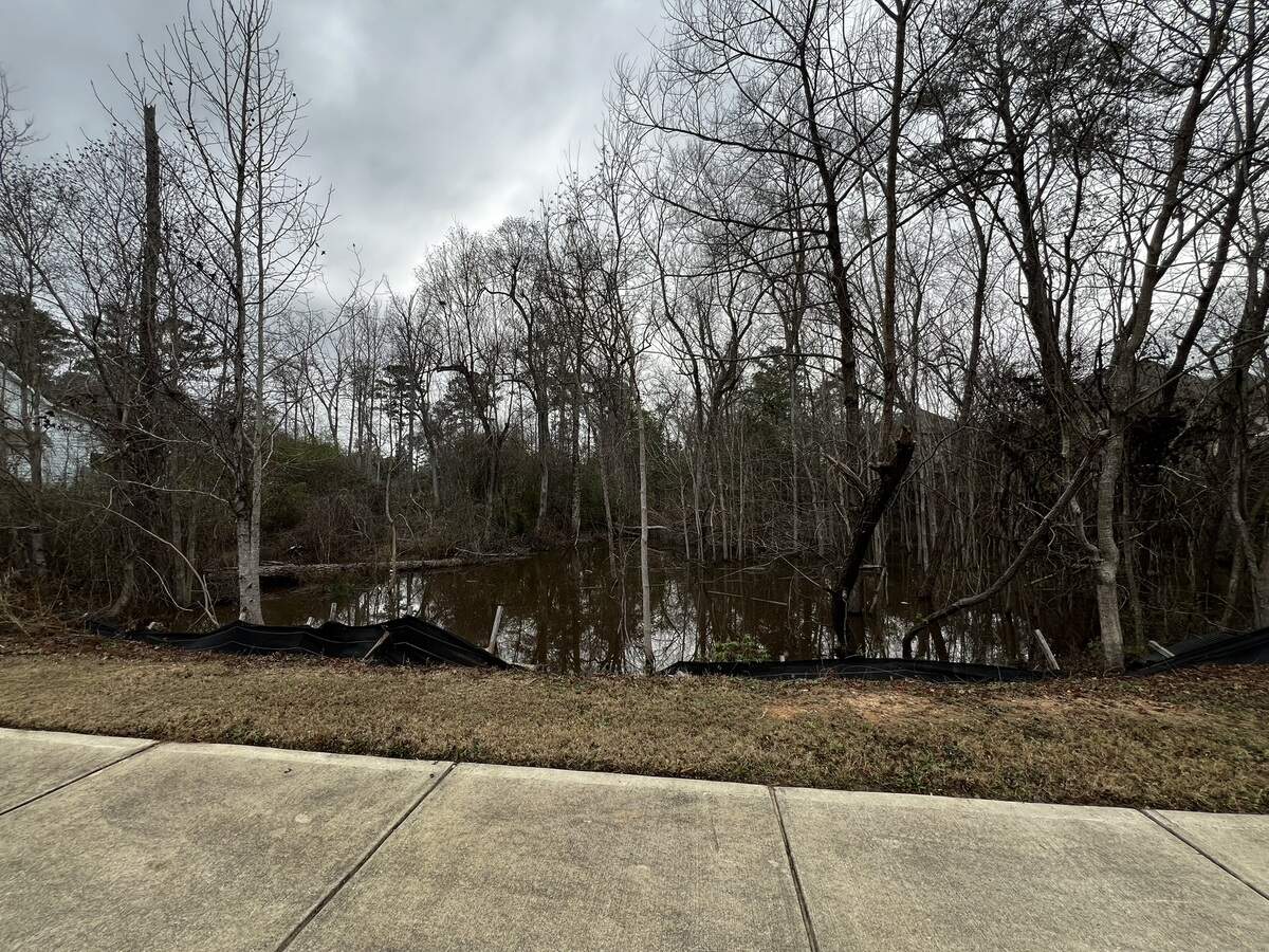 While speaking Jan. 7, 2026, in opposition of a rezoning request for 4937 Macon Road, residents of Pond View Drive complained to the Columbus Planning Advisory Commission about the stagnant water on their street caused by poor maintenance of a nearby retention pond.