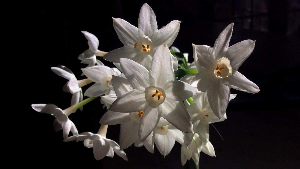 Mark your March calendar: Spring, Daylight Saving Time, casting calls are coming up