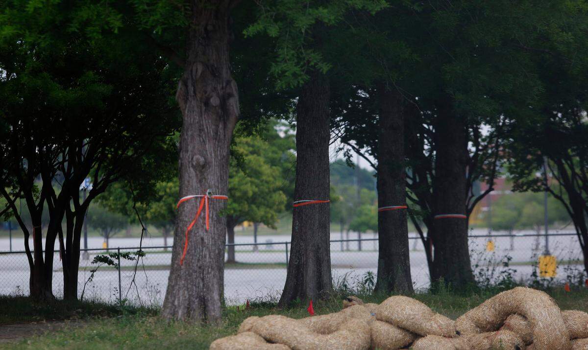 The city of Columbus has shared a tree plan for the proposed Golden Park redevelopment site. The plan is a a large drawing that shows 73 trees that will eventually be planted after construction is finalized, and after 148 trees that are currently in the ground are removed at the five-acre site. 04/30/2024