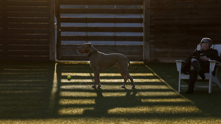 This abandoned space in Columbus has been revived for dogs and their owners