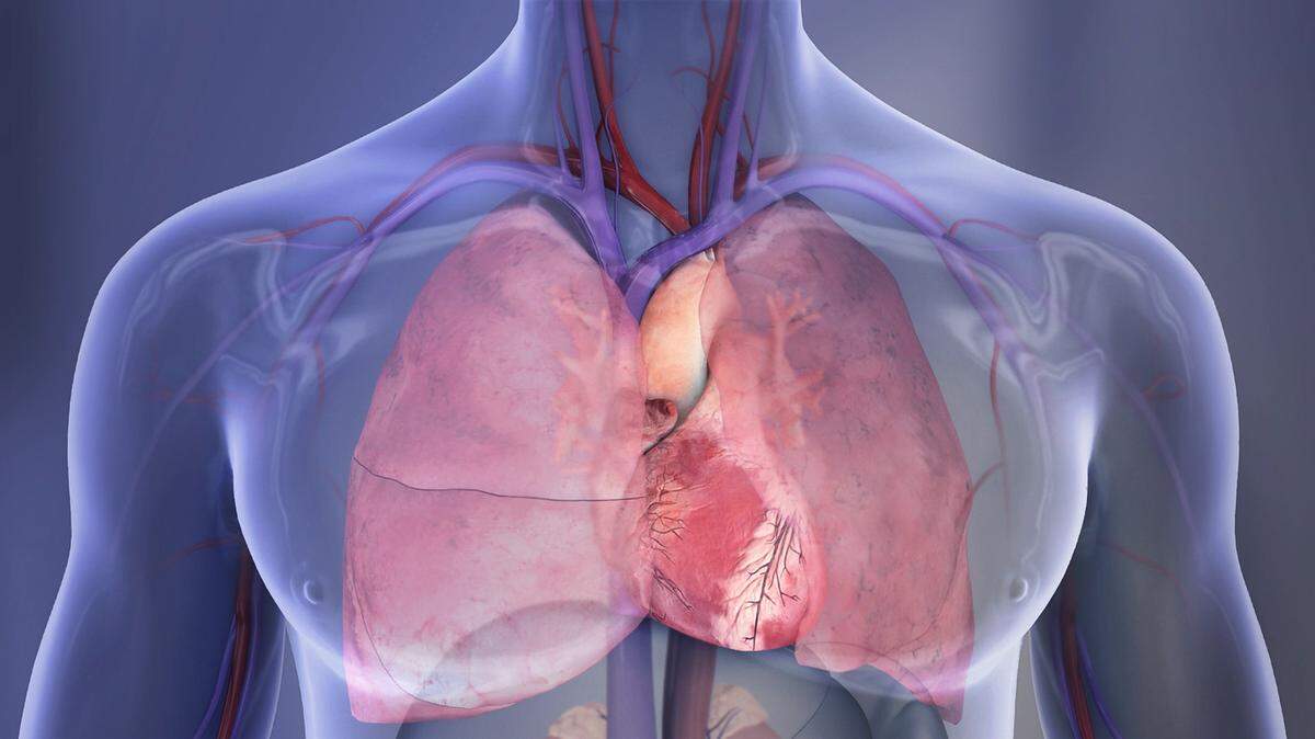 A new study has found one of the strongest links between erectile dysfunction and heart disease to date - and that association remains even after accounting for things like smoking, high blood pressure or cholesterol levels.