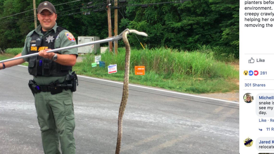 A Murfreesboro, Tennessee woman was frightened when a snake slithered out of a box of trash she had put in her car and began climbing up her leg. A sheriff's deputy removed the snake and released it.