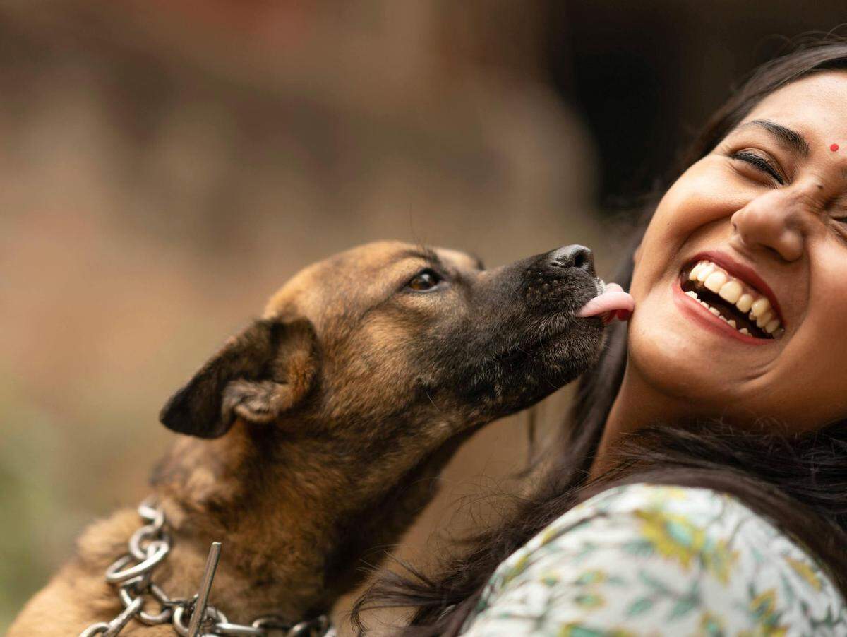  https://www.pexels.com/photo/dog-licking-a-laughing-woman-27505636/