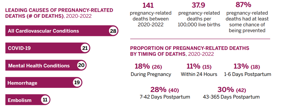 Data on maternal mortality in Georgia from