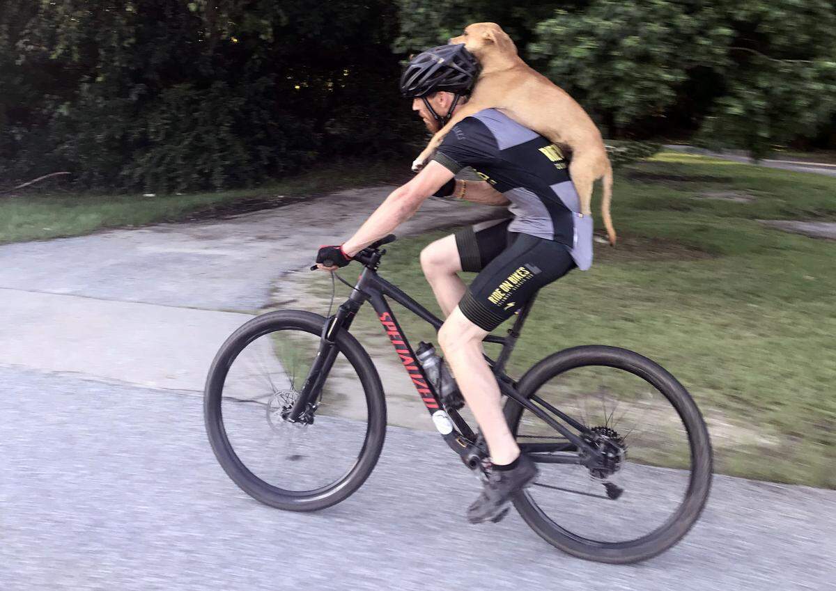 Columbo holds onto Jarrett Little as Little gives him a ride from the roundabout near South Lumpkin Road and the entrance to the Columbus Water Works sewage treatment facility to downtown Columbus.