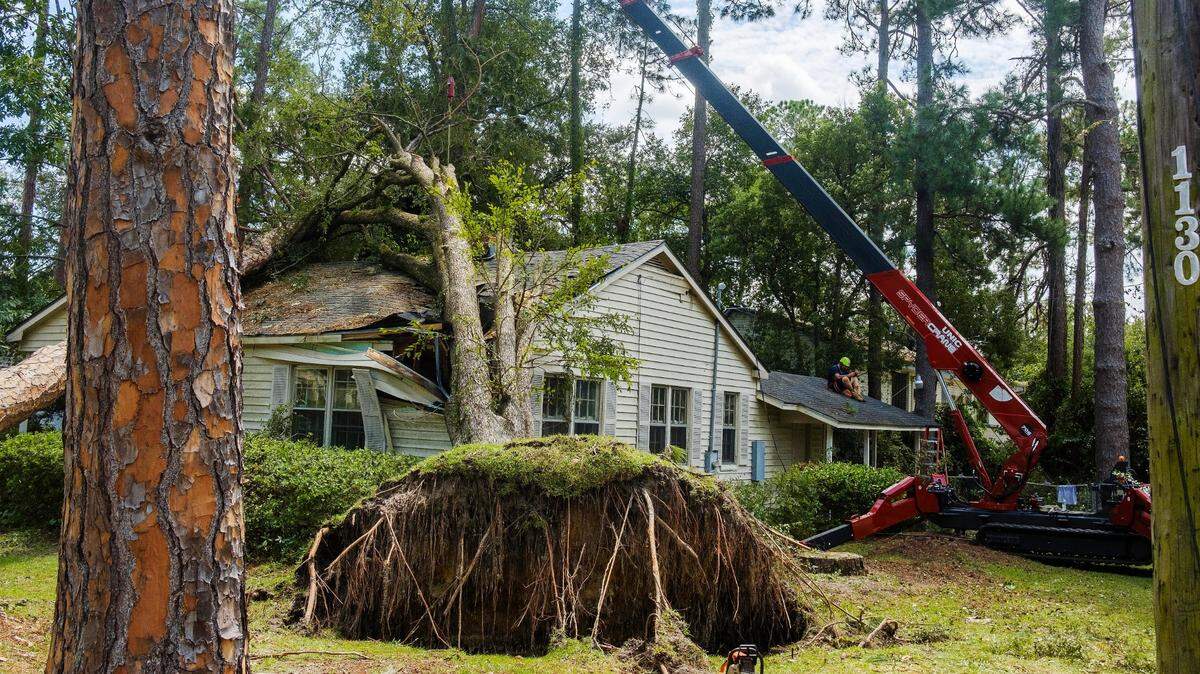 Scores of homes near the core of Valdosta were damaged by large trees felled by Hurricane Idalia. That meant gridlock as residents, tree removal companies and utility workers jostled to all do the jobs they needed to do.