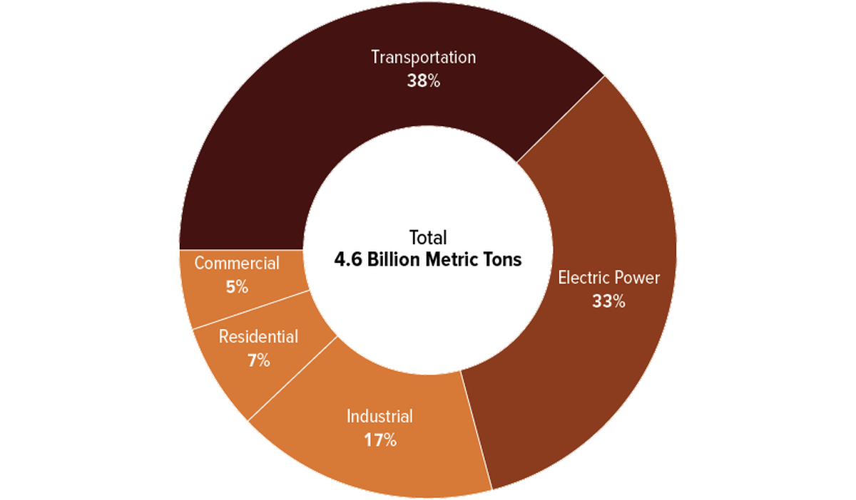 The breakdown of energy sectors in 2021.