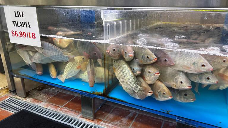 Get ready to find your new favorite grocery store. The Asian Supermarket has it all