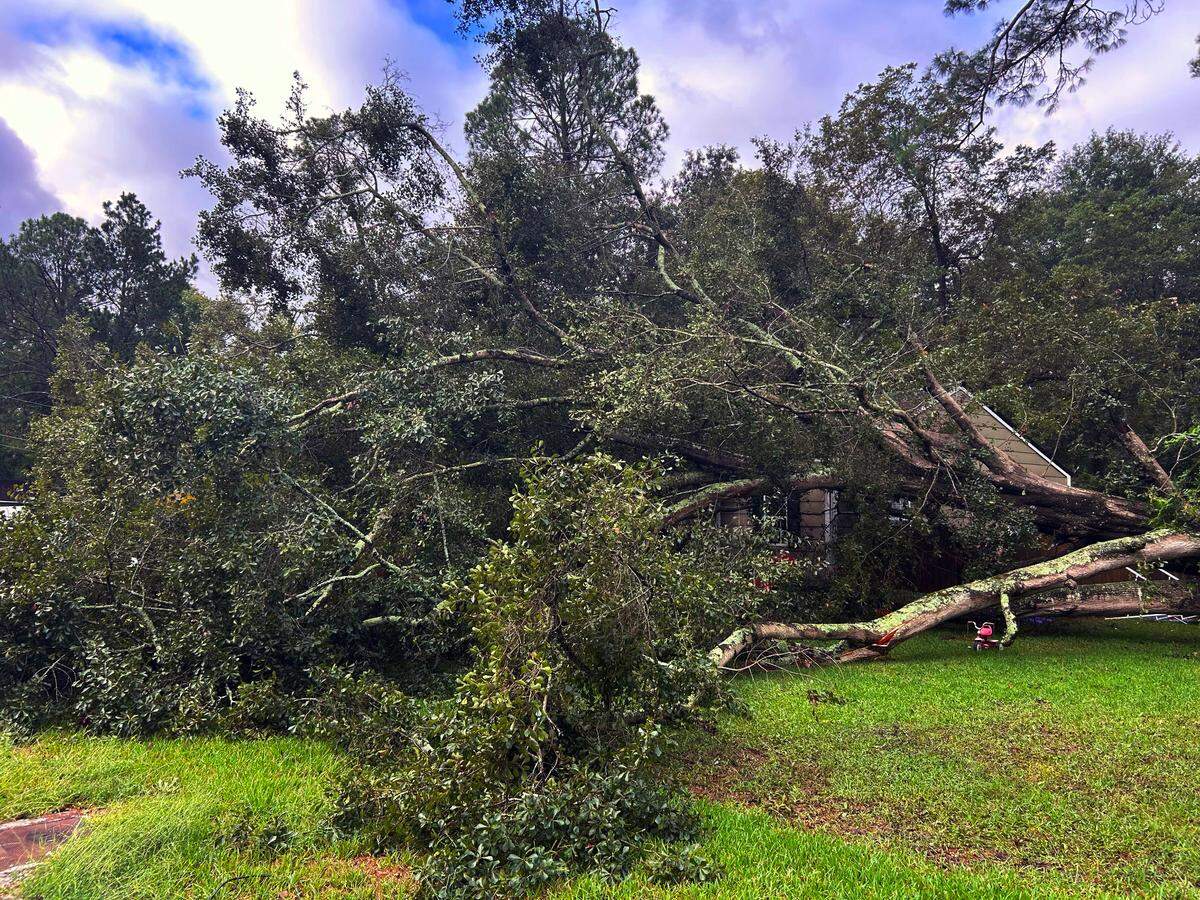A large tree fell Thursday night on part of Sherri Priest’s house and yard on Forestside Drive in Columbus, causing damage. Hurricane Helene swept through the state of Georgia throughout Thursday night and Friday morning, causing damages around Columbus. 09/27/2024