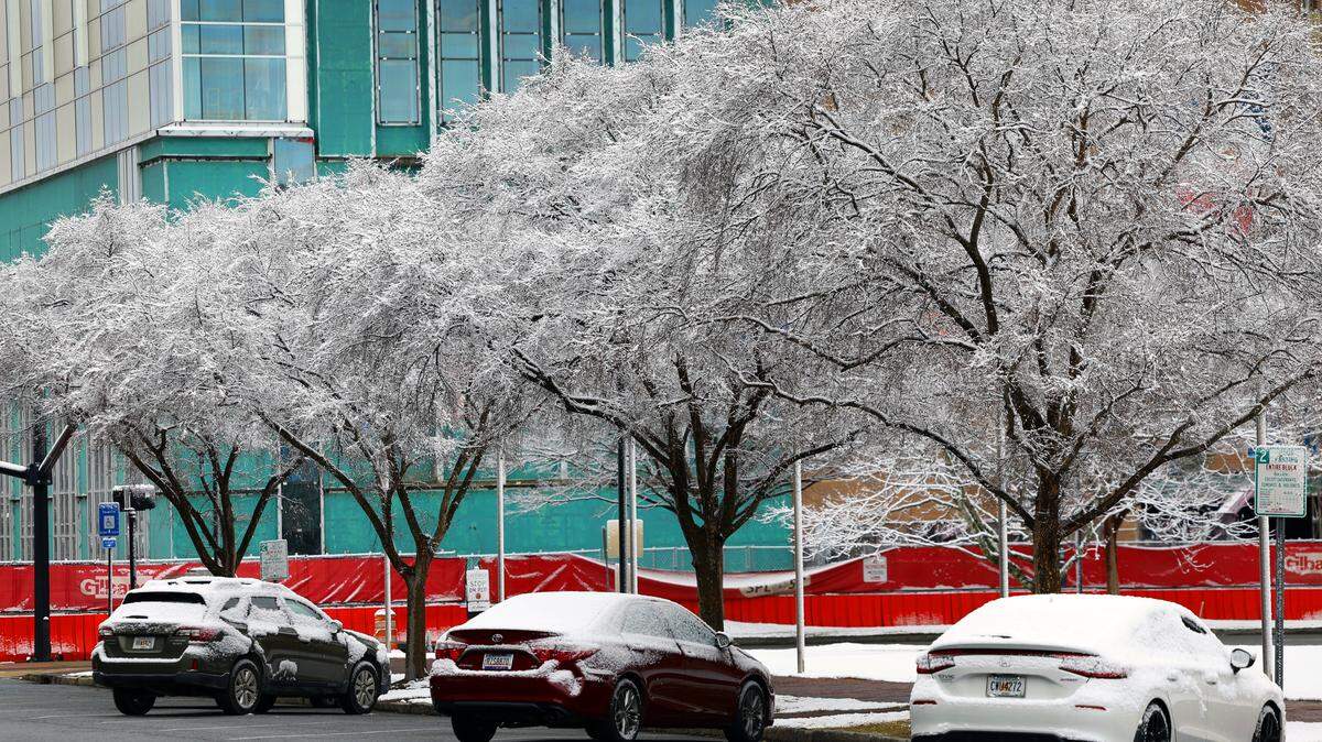 Snow covers trees and parked cars in downtown Columbus, Georgia the morning of Jan. 18, 2026.