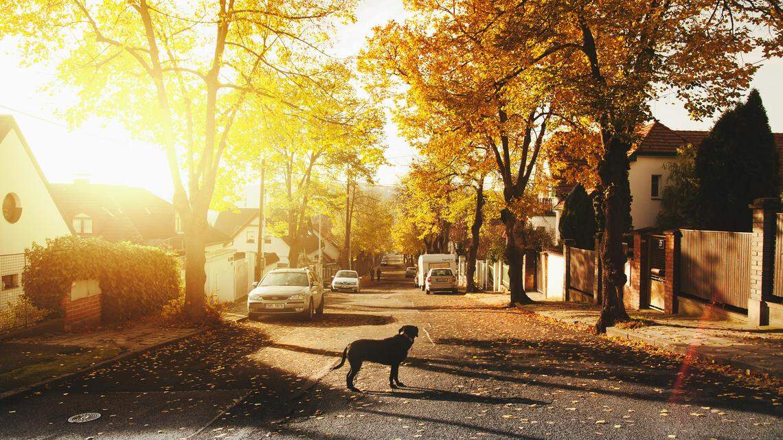 GA one of friendliest states in US, study shows. See where it ranks and why