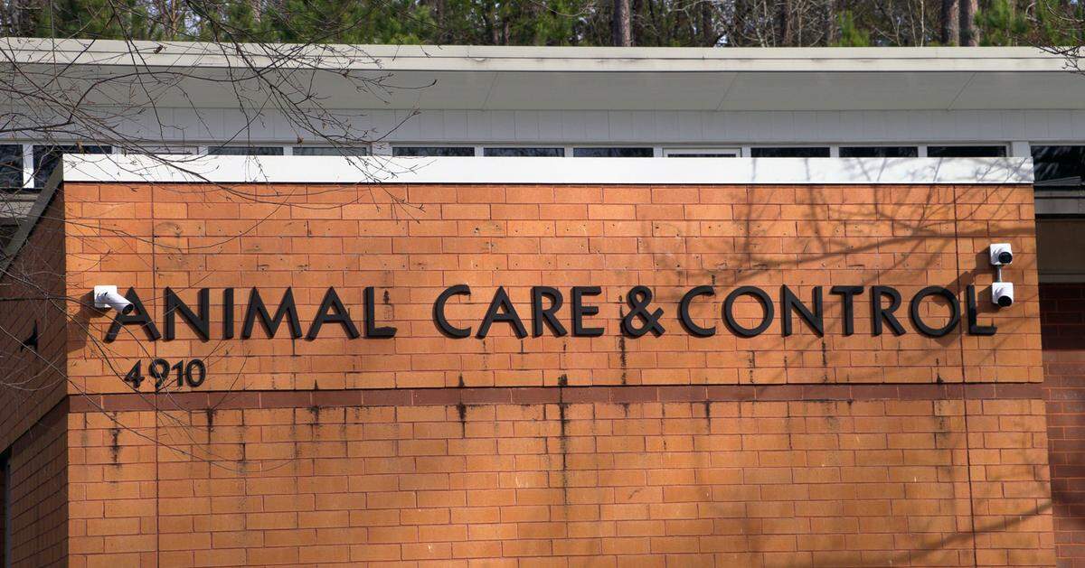 PAWS Humane Society, a nonprofit organization, took over management of the Columbus Animal Care & Control Center (CACC) on Feb. 1, 2025.