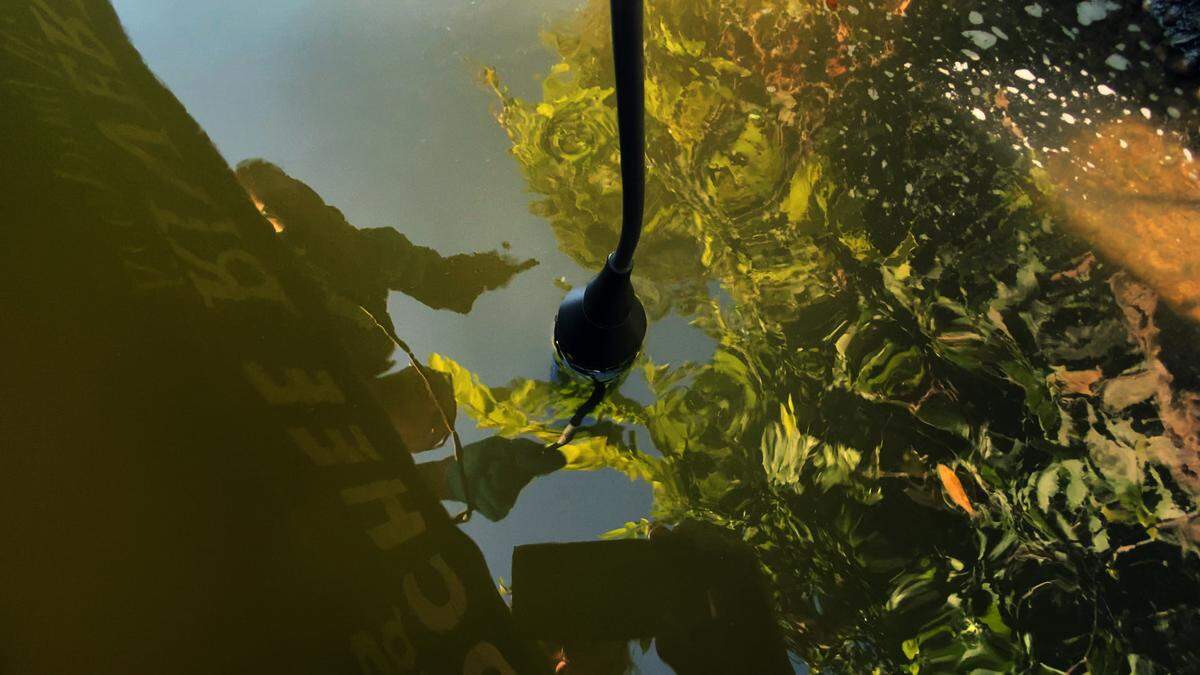 Jason Ulseth, Chattahoochee Riverkeeper executive director, checks the water quality on the Chattahoochee River near the outfall pipe for Phenix City, Alabama’s wastewater treatment plant. 07/10/2024