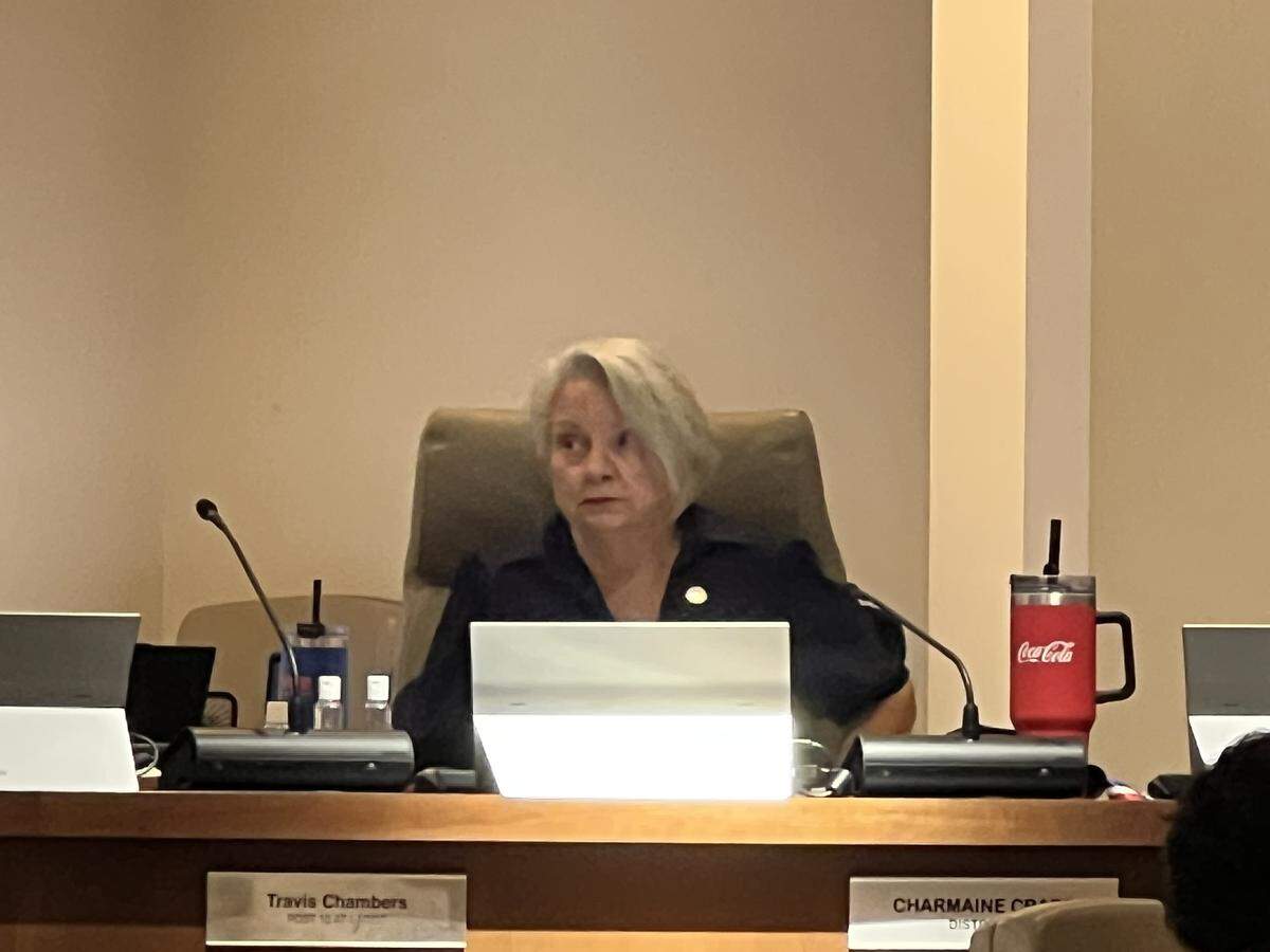 During a July 22, 2025, meeting, Columbus Councilor Charmaine Crabb of District 5 discusses a controversial anti-camping ordinance that critics argue would criminalize homelessness.