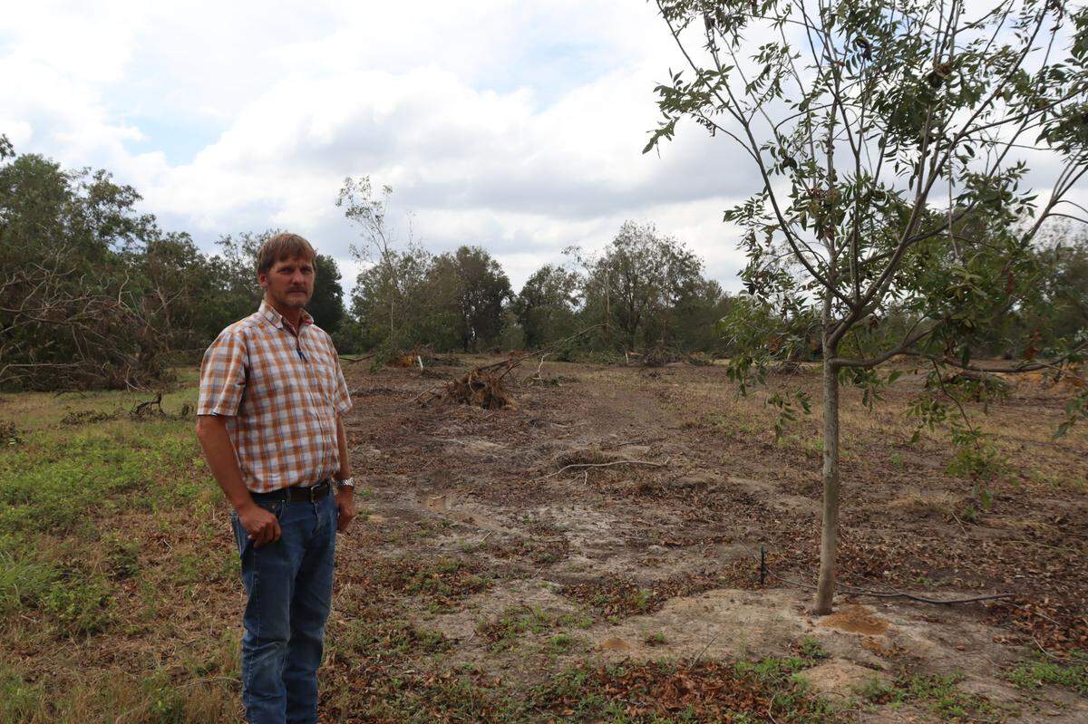 Shiloh Pecan Farm owner Buck Paulk stands in front of acres of lost pecan trees on Oct. 4, a week after Hurricane Helene ripped through his 4,000-acre Pecan farm. His farm is about 15 miles north of Valdosta near Ray City where winds were clocked at 111 mph.