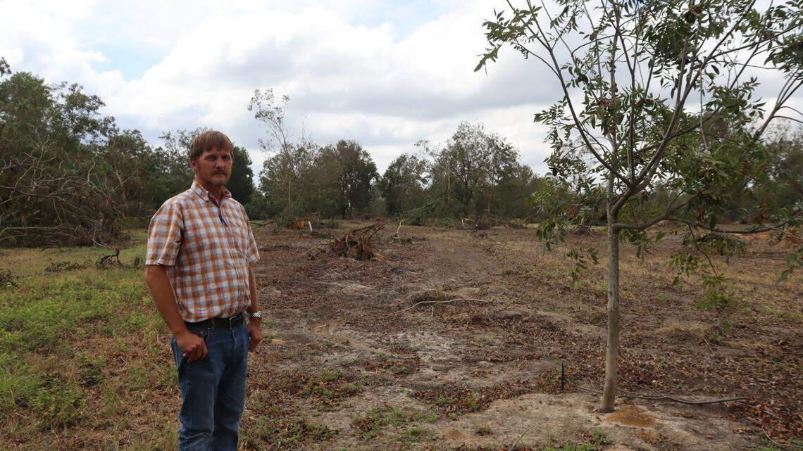 Hurricane Helene caused damage to Georgia farming. Farmers need more than crop insurance