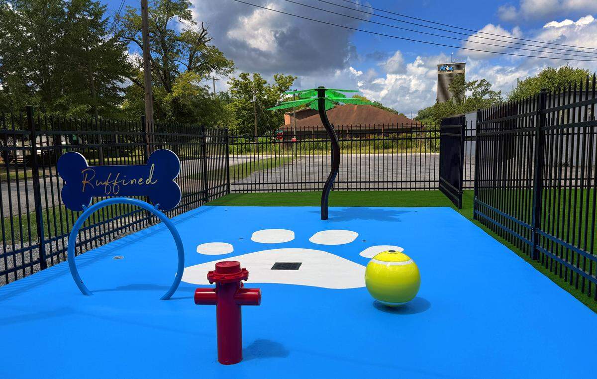 Ruffined Pet Wellness Club is located at 2210 Wynnton Rd., suite 113, in Columbus, Georgia.