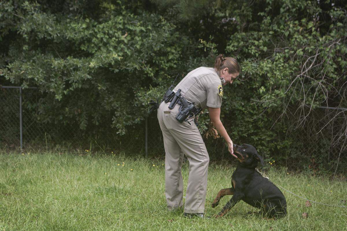 Deputy Hilary Rager greets a dog in the backyard while the owner moves furniture out during an eviction on July 20, 2021, in Columbus, Ga.