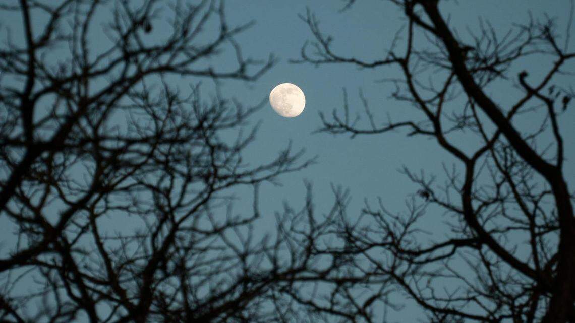 A full moon and a retrograde. What effect could this have on your holiday mood and habits?