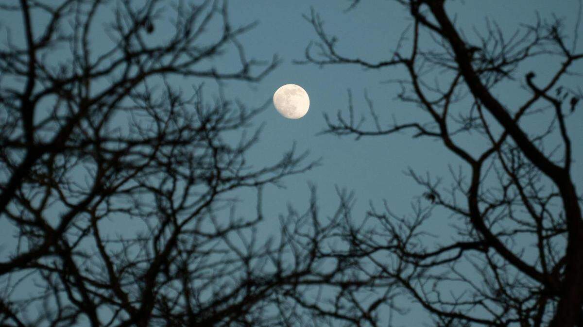 December’s full moon is also known as the Cold Moon