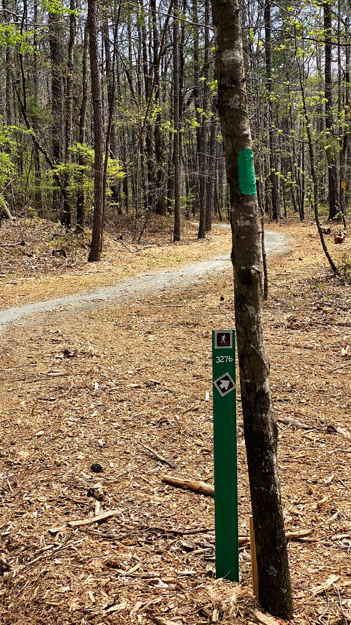 It isn’t certified as a trail for people with disabilities, but with less than a 3% grade and a path of at least 8 feet wide along its 4,809-foot length (nine-tenths of a mile), it’s the flattest and widest trail on the mountain, according to Pine Mountain Trail Association board secretary Jim Hall
