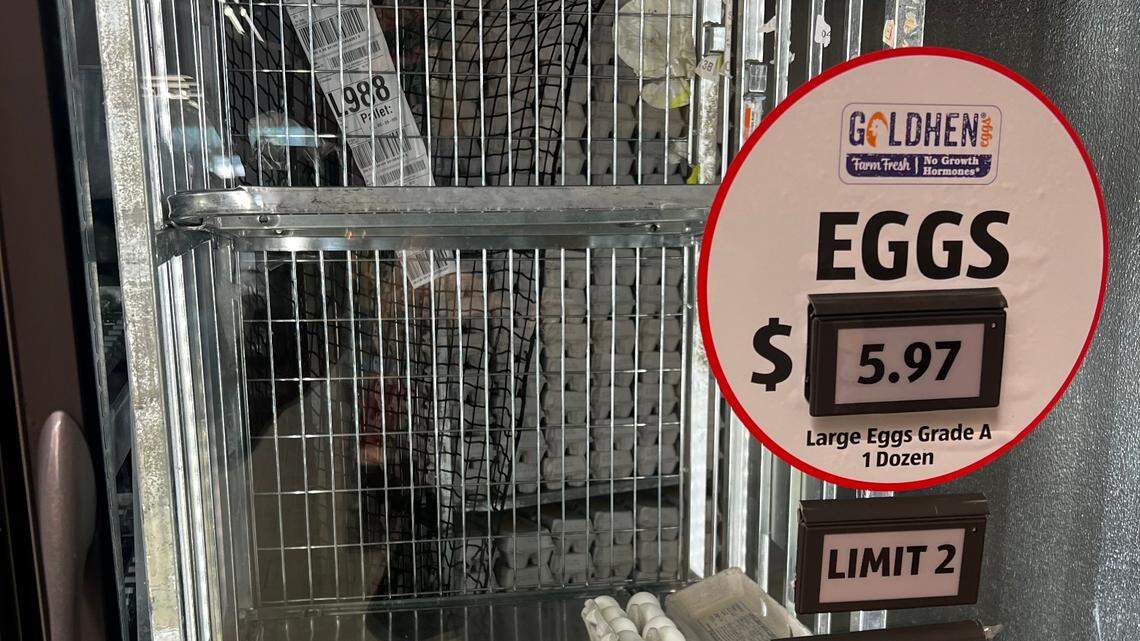 We shopped 5 Columbus grocery stores for the lowest prices. See who had the best deals