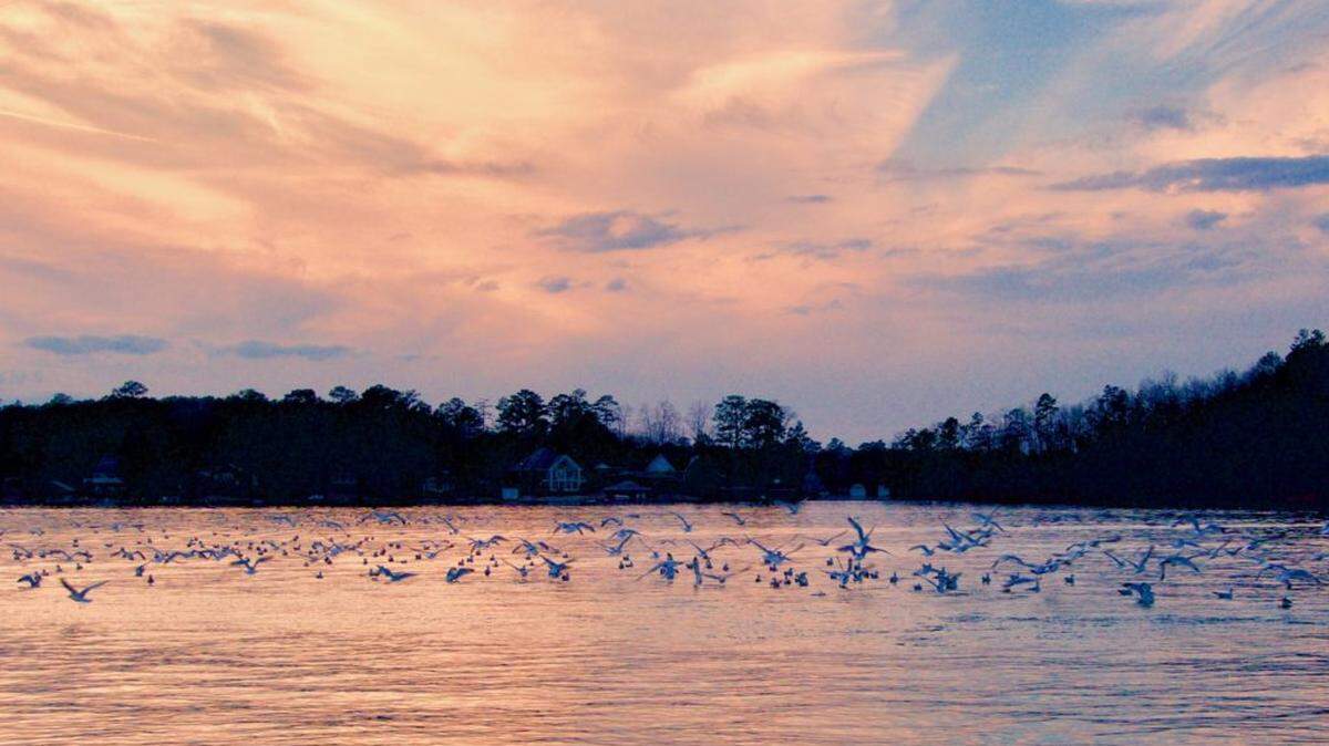 Lake Harding