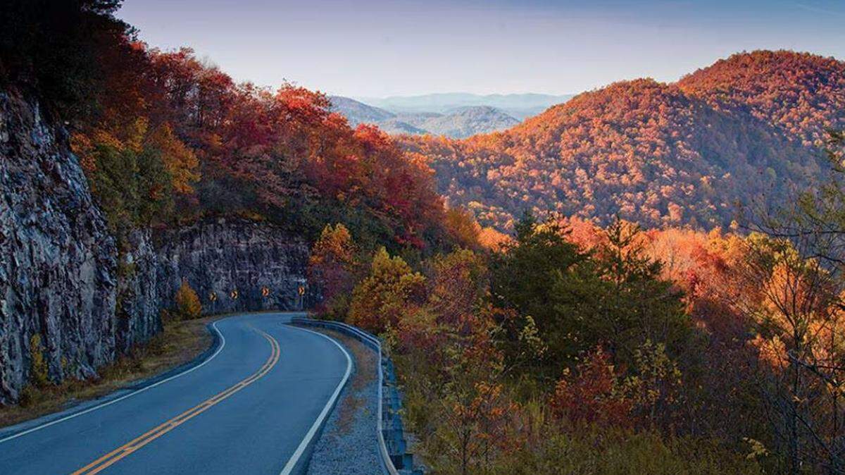 The Russell Brasstown Scenic Byway.