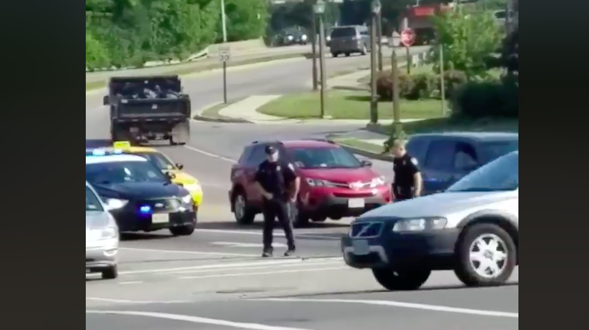 A video shows Roanoke, Virginia police diverting traffic to allow an endangered timber rattlesnake to cross the road. Some on social media questioned the wisdom of impeding traffic for a snake, while others praised the officers.