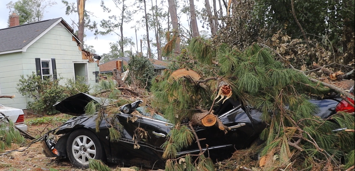 Alice Legier’s car was crushed by tree debris during the 111 mph gusts from Hurricane Helene that tore through Valdosta, Georgia. 