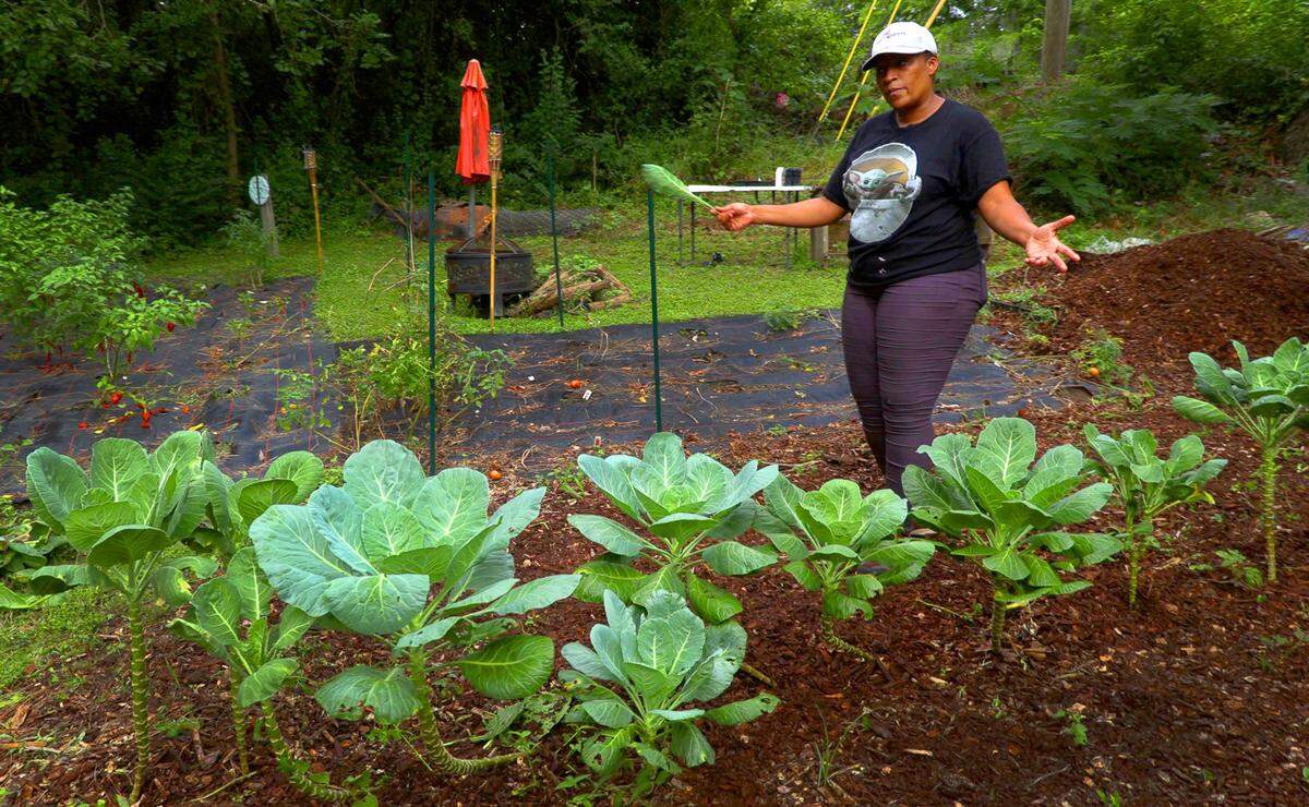 DurtyBeets, founded and owned by Abike Alexander, focuses on urban agriculture, meal preparation and in-home chef services, and education programs such as gardening workshops and nutritional meal preparation workshops.