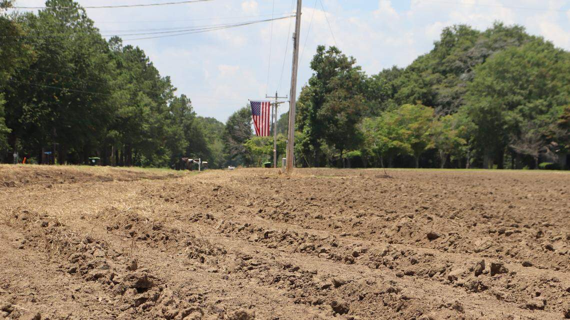 Dry soil stretches far on a tilled farm in Americus, Georgia, pictured June 12, 2024.