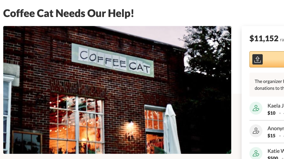 Coffee Cat, 124 Tichenor Ave. in Auburn, Ala., was one of the many small businesses impacted by COVID-19. A GoFundMe campaign allowed it to stay in business.