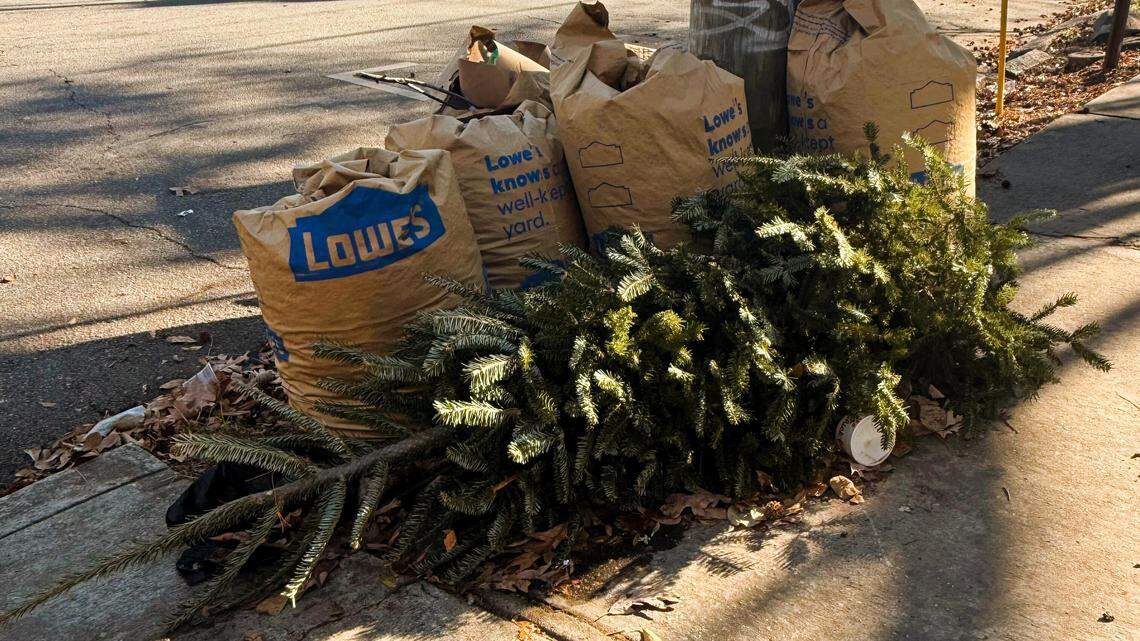 How, where and why to recycle your Christmas tree in Columbus