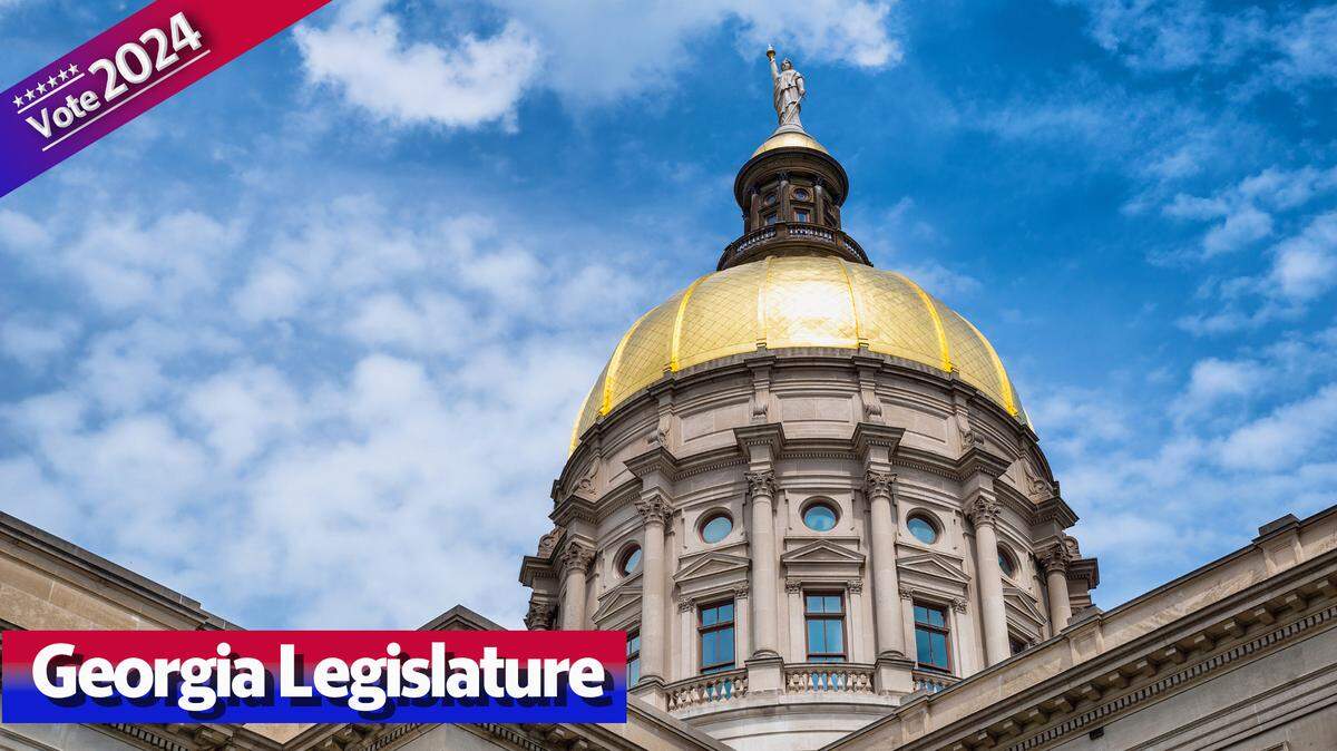 Columbus area voters will be voting in several races for seats in the Georgia Legislature.
