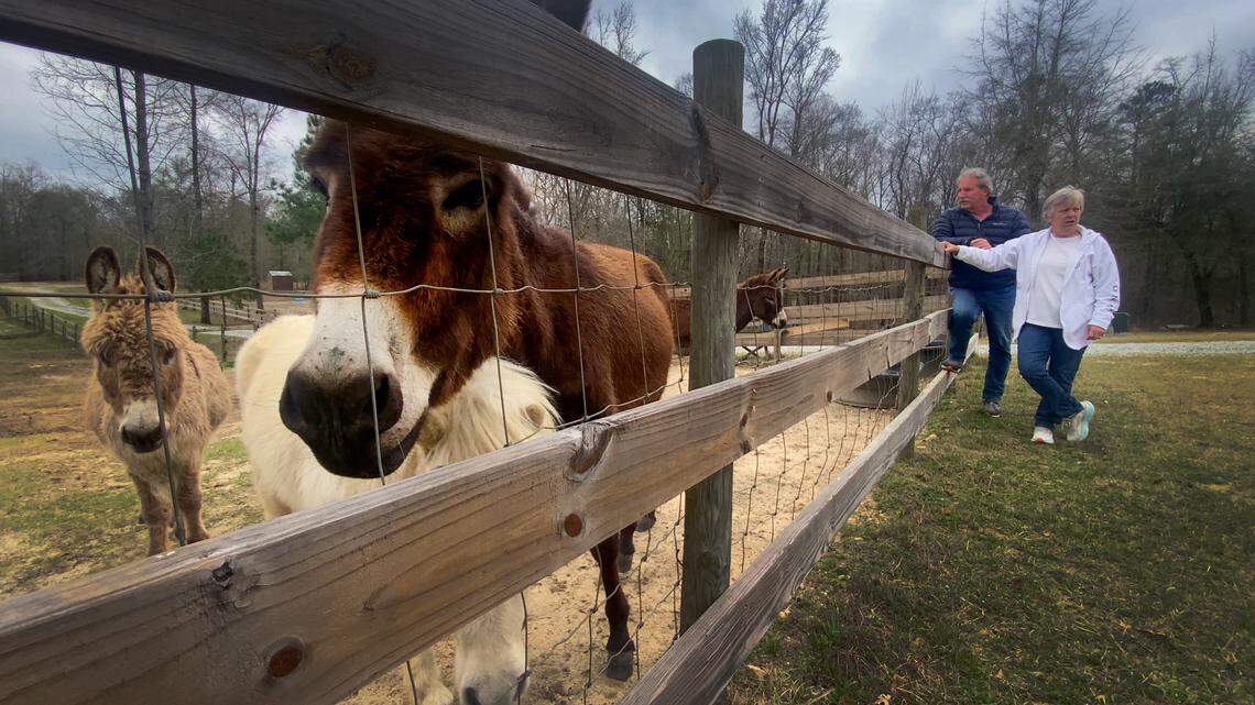 ‘Devastated.’ Neighbors near proposed Columbus data center petition with 1,200 signatures