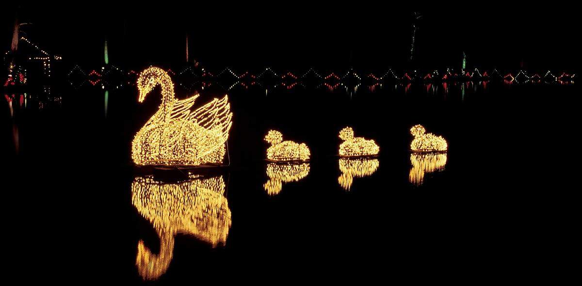 Swan Lake is one of 15 displays at Fantasy in Lights.