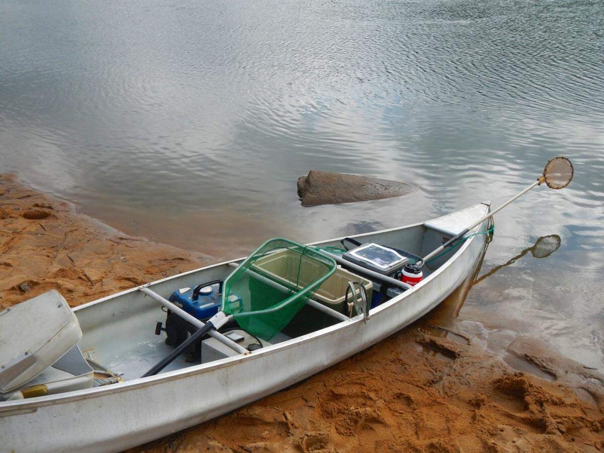 The canoe-shocker that Sammons made with his students that went between North Highlands dam and where the Eagle and Phenix dam used to be in 2017 to collect samples.
