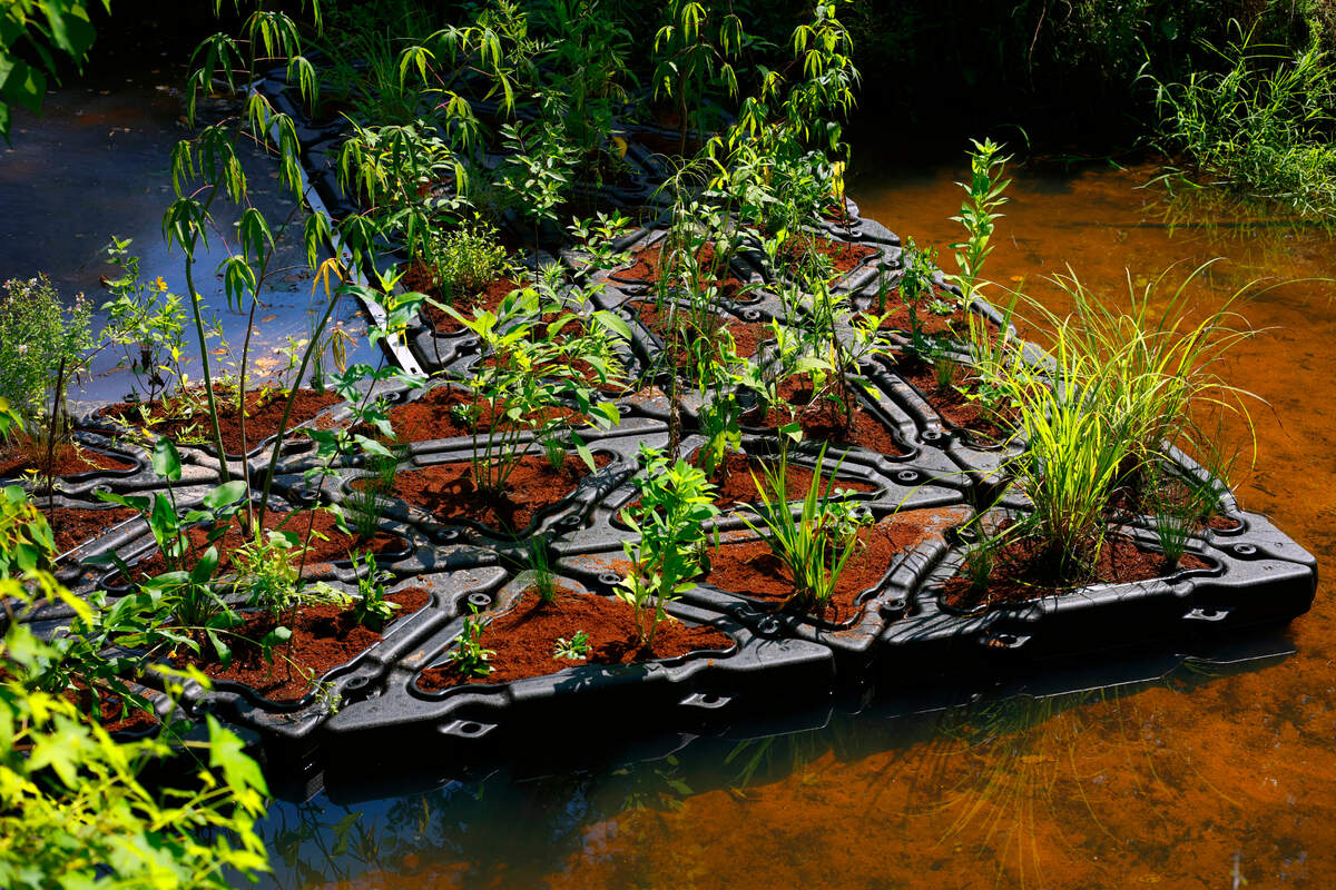 The new trash trap installed at Cooper Creek park in Columbus, Georgia includes all native plants. 06/23/2025