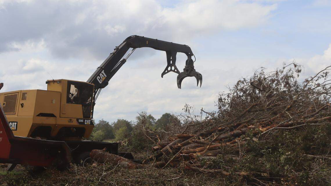 Georgia pecan farmer faces massive loss from Hurricane Helene. Biden pays him a visit
