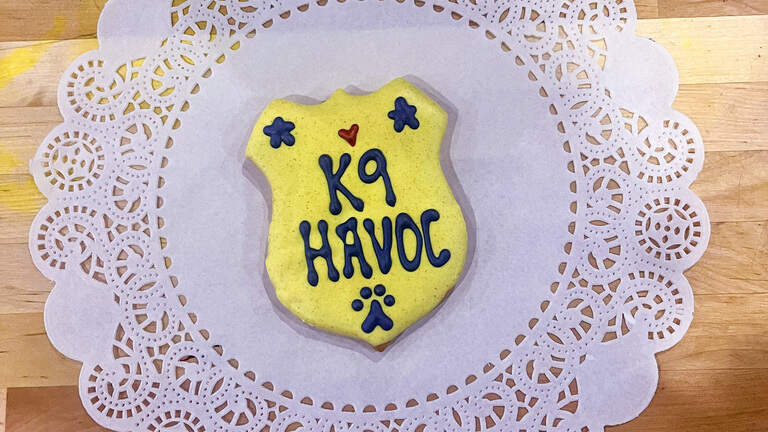 How to help Columbus Police K9 Havoc, wounded in officer-involved shooting