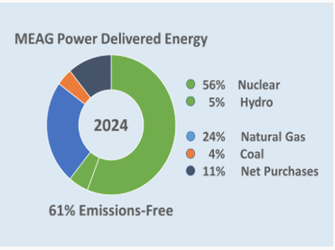 Municipal Electric Authority of Georgia Power delivered energy to 49 municipalities in Georgia in 2024.