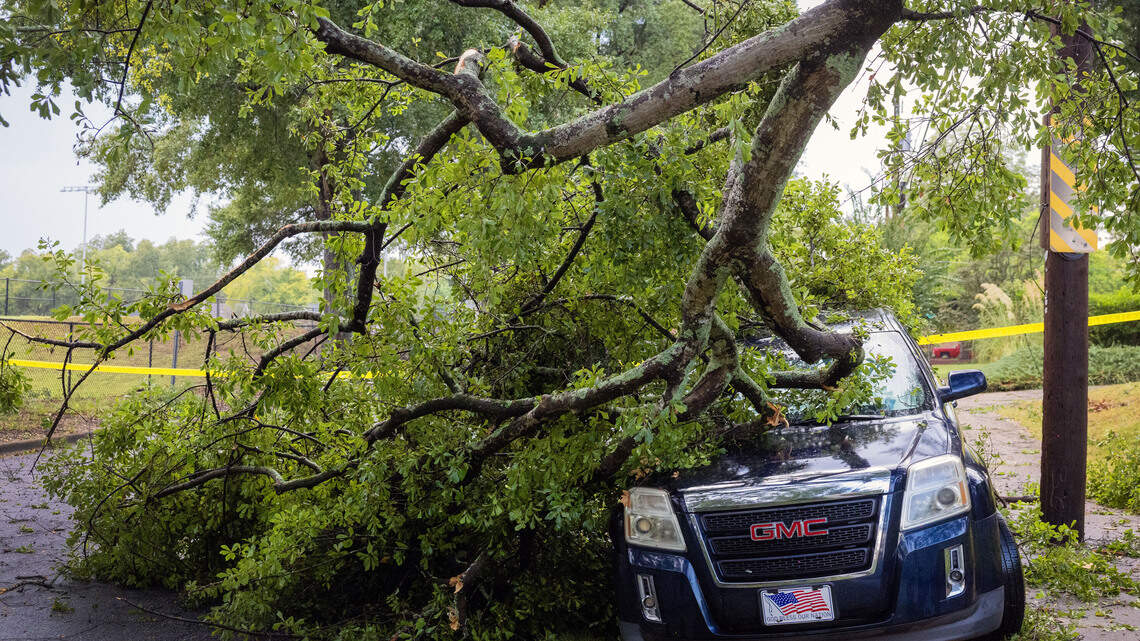 City suspends storm debris fees through Oct. 12 for these parts of Columbus